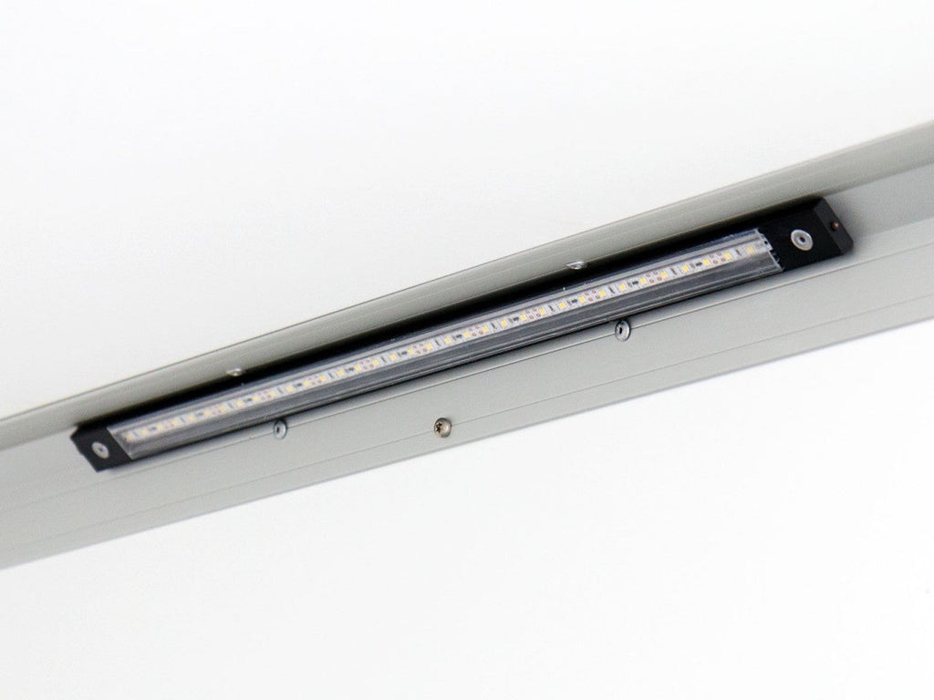 Variant Kofferanhänger Black Edition 148x258cm H:157 1,35t|Rampe-Neu