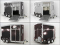 Ifor Williams Pferdeanhänger HB511|Frontausstieg-Neu