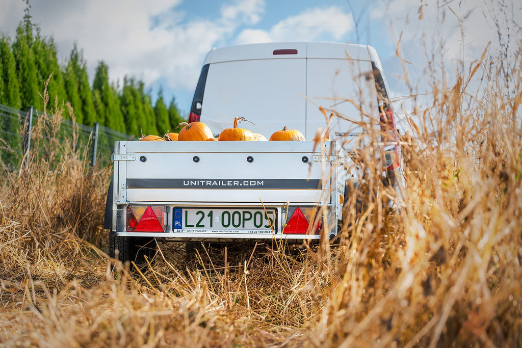 Kleiner Anhänger 150 x 106 cm Garden Trailer 150 KIPP Unitrailer